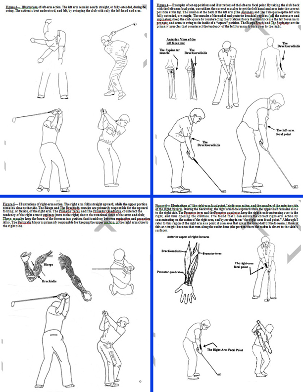 pages 23 to 26